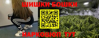 хмурый Бийск
